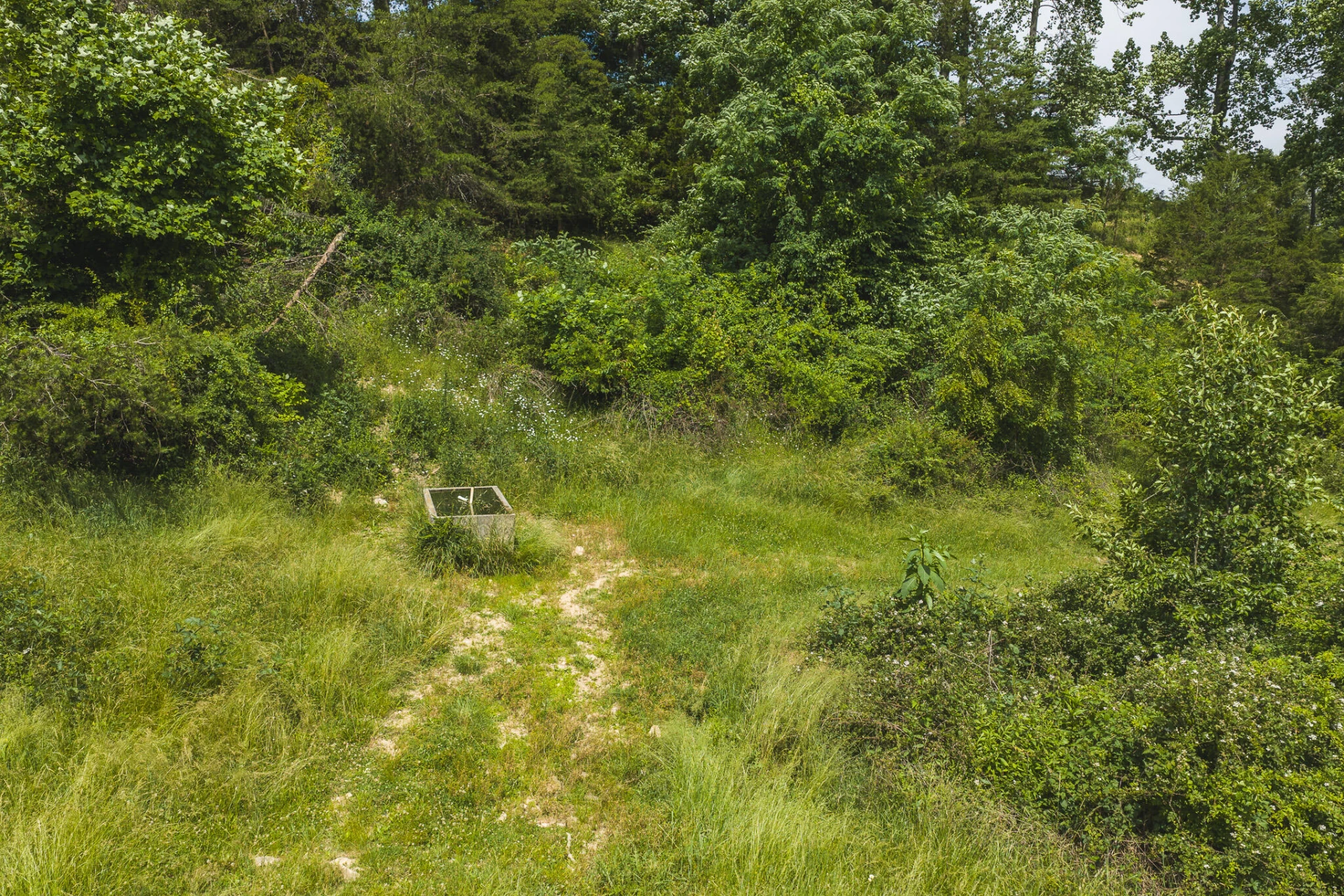 Lot 4 Brush Creek RD - Photo 5