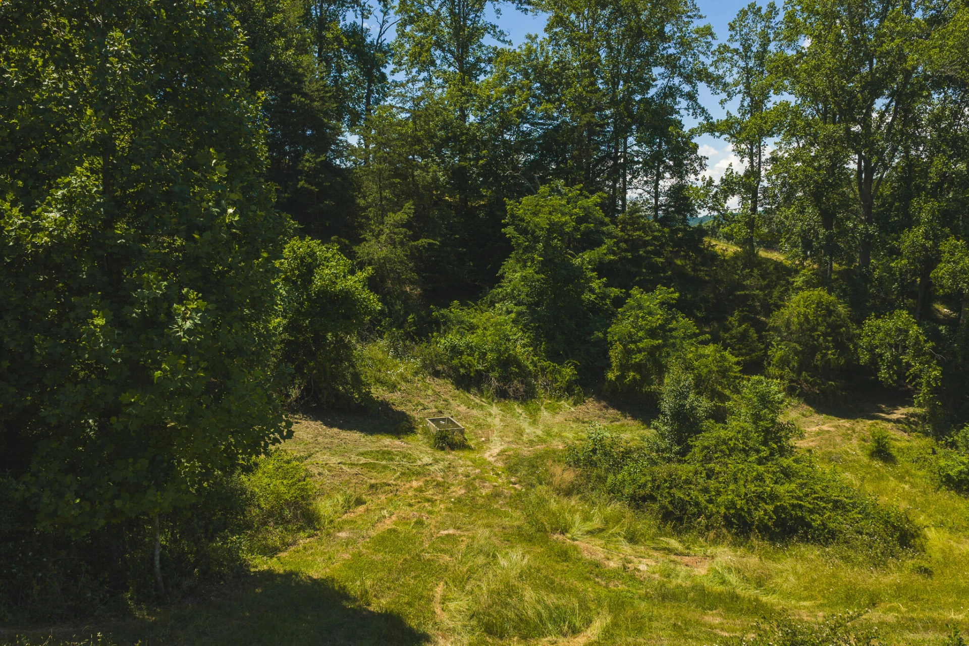 Lot 4 Brush Creek RD - Photo 6