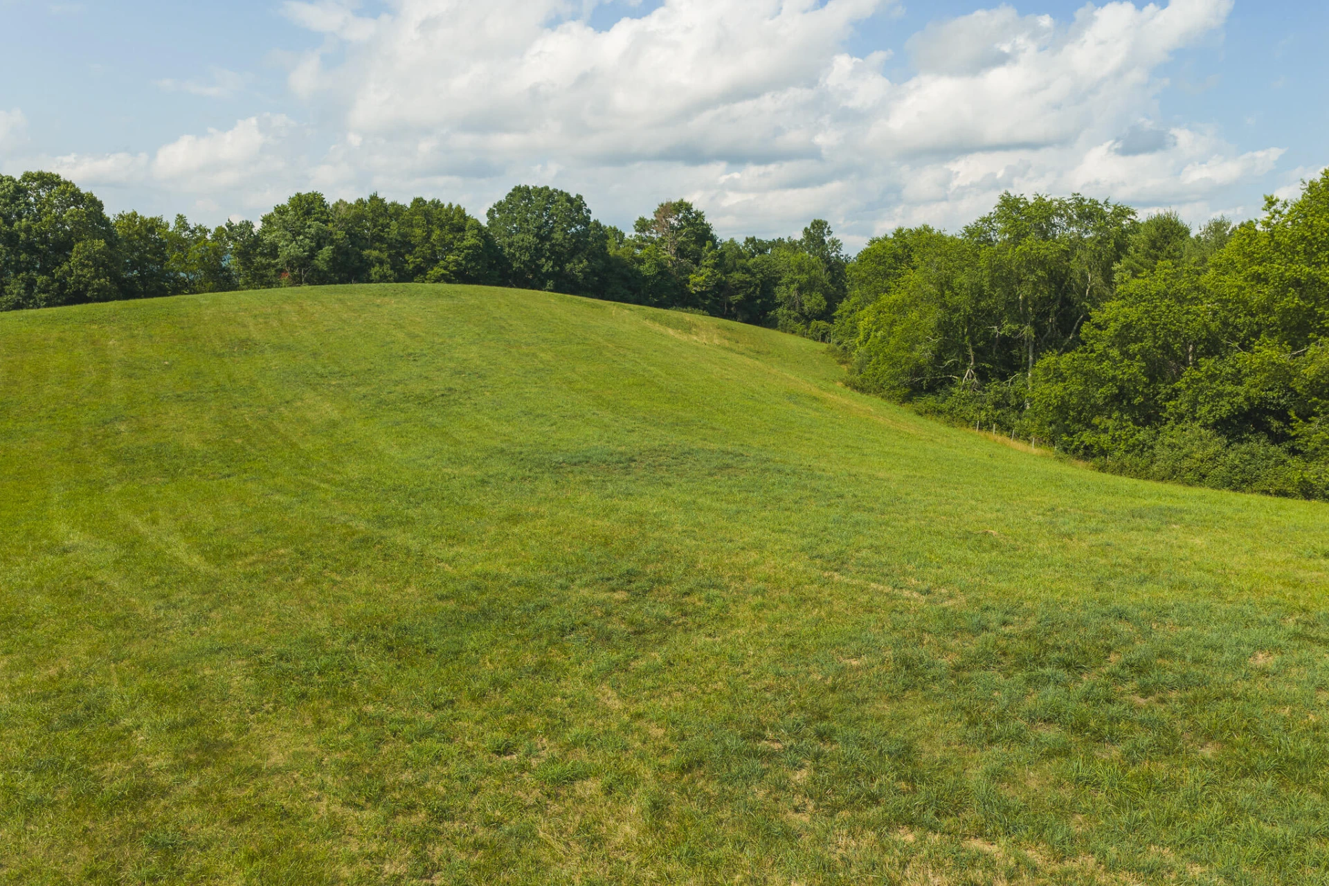 Lot 5 Brush Creek RD - Photo 14