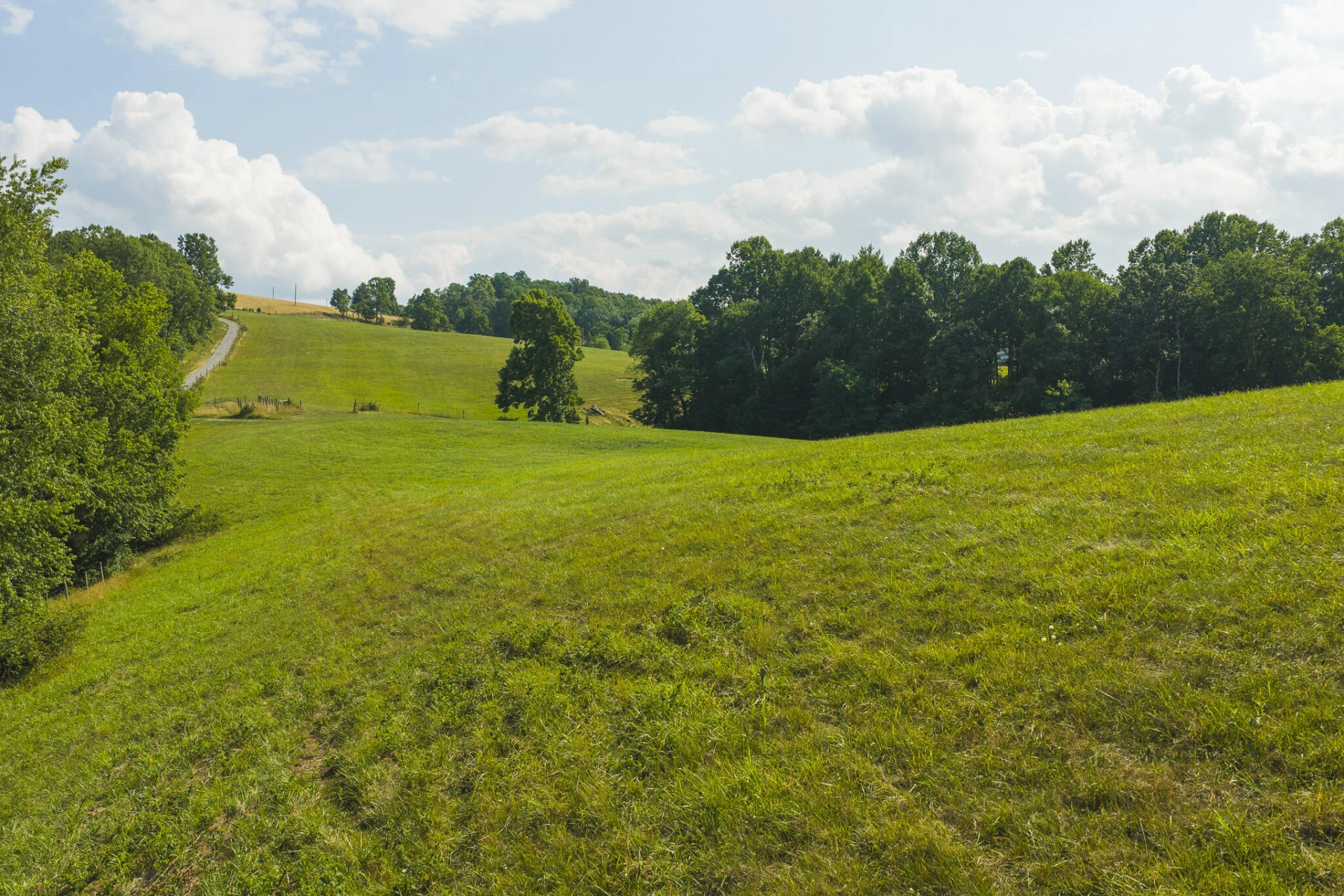 Lot 5 Brush Creek RD - Photo 18