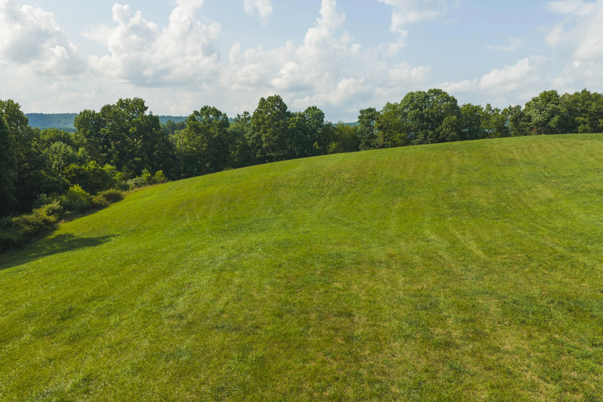 Lot 5 Brush Creek RD - Photo 19