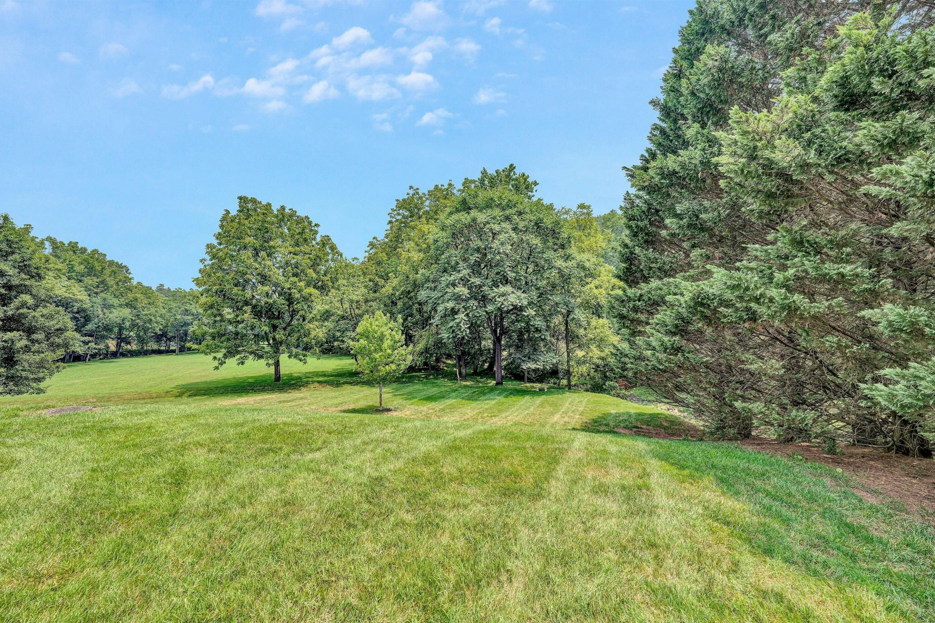 6542 Fairway Estates DR - Photo 48