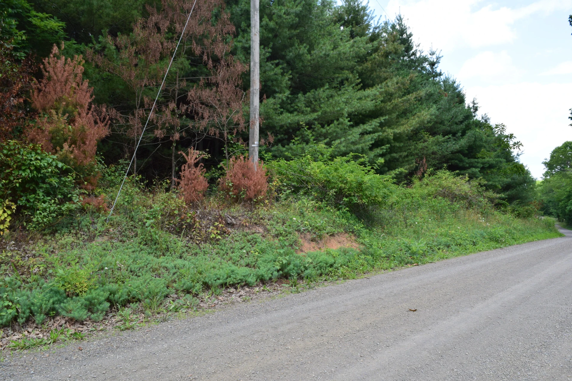 252 Reece RD SW - Photo 17