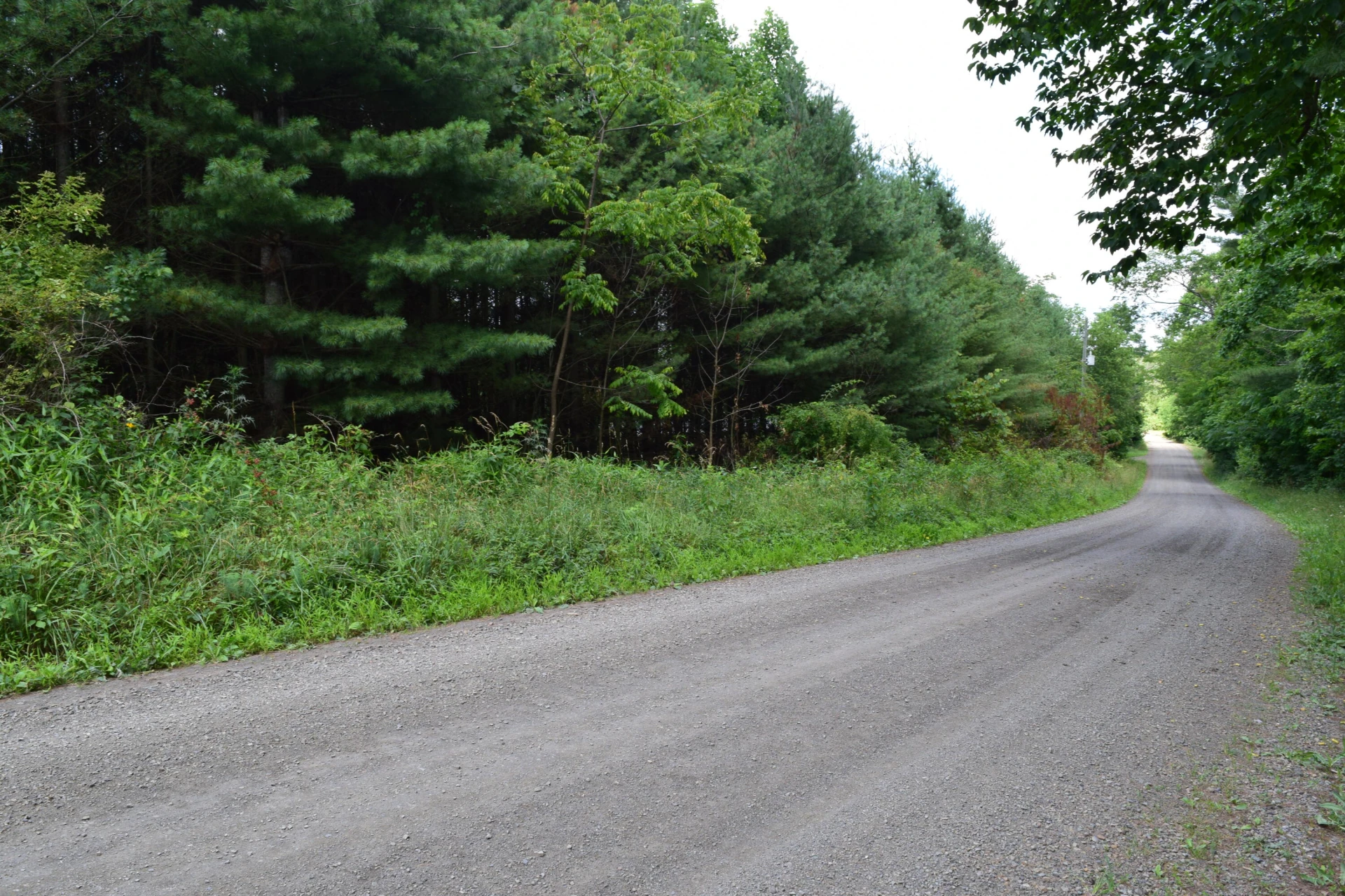 252 Reece RD SW - Photo 18