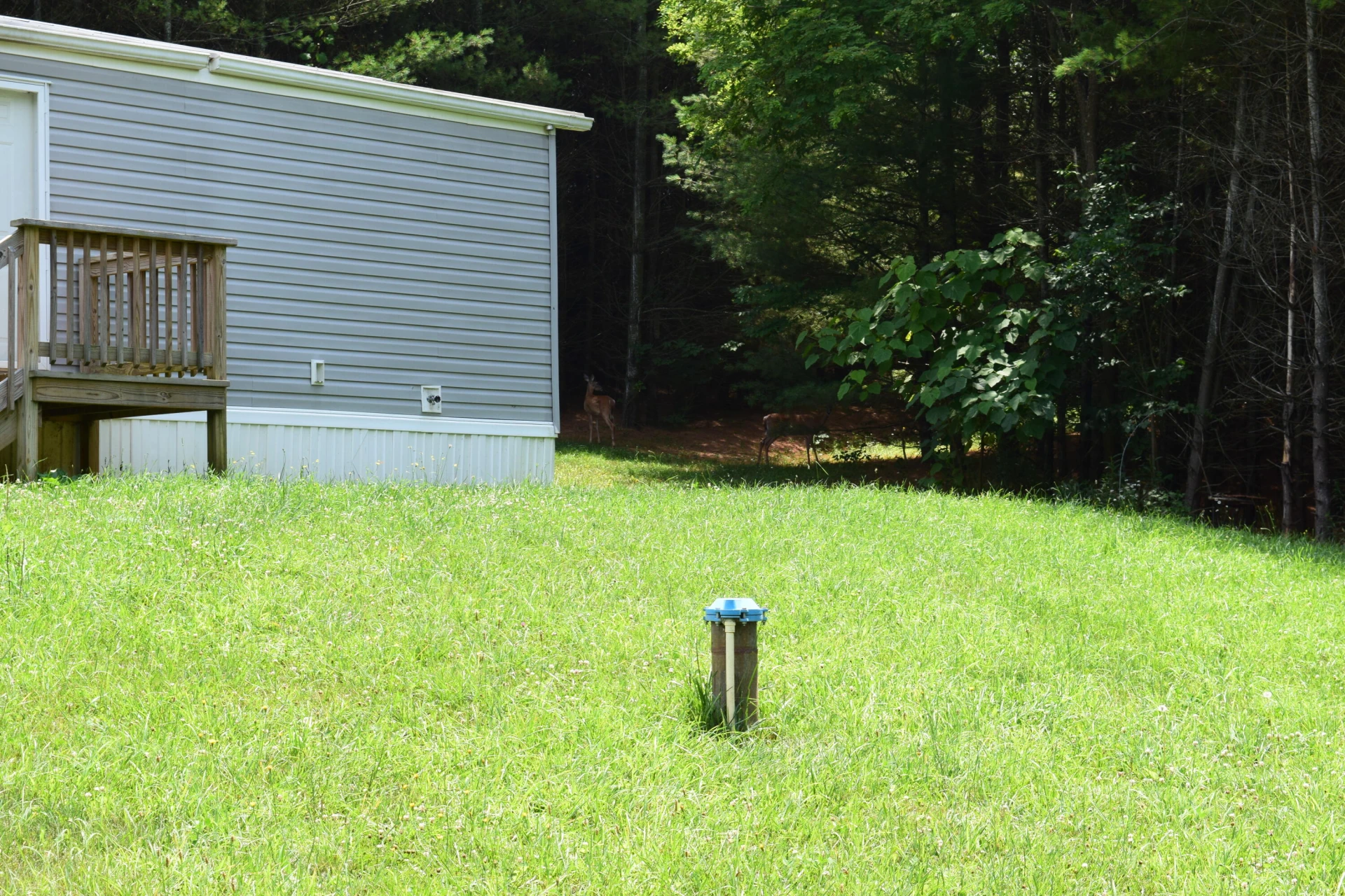 252 Reece RD SW - Photo 6