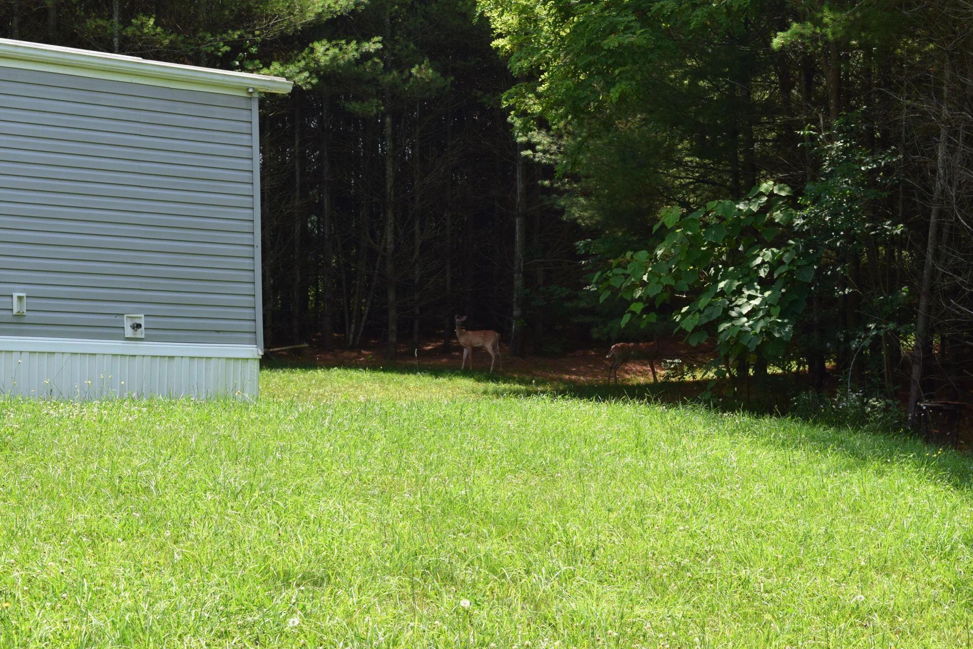 252 Reece RD SW - Photo 7