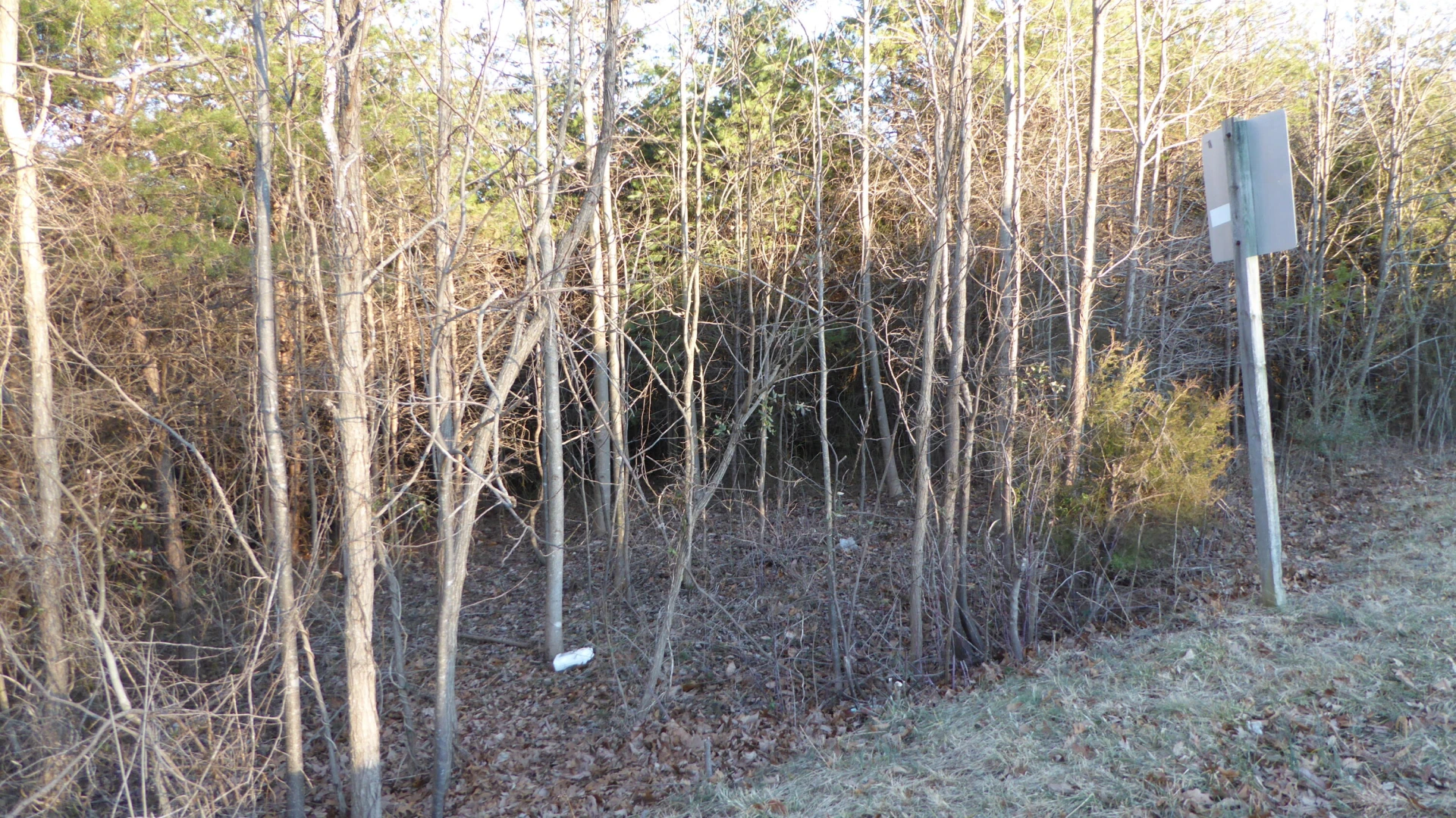 0 SOUTH MAIN ST - Photo 4