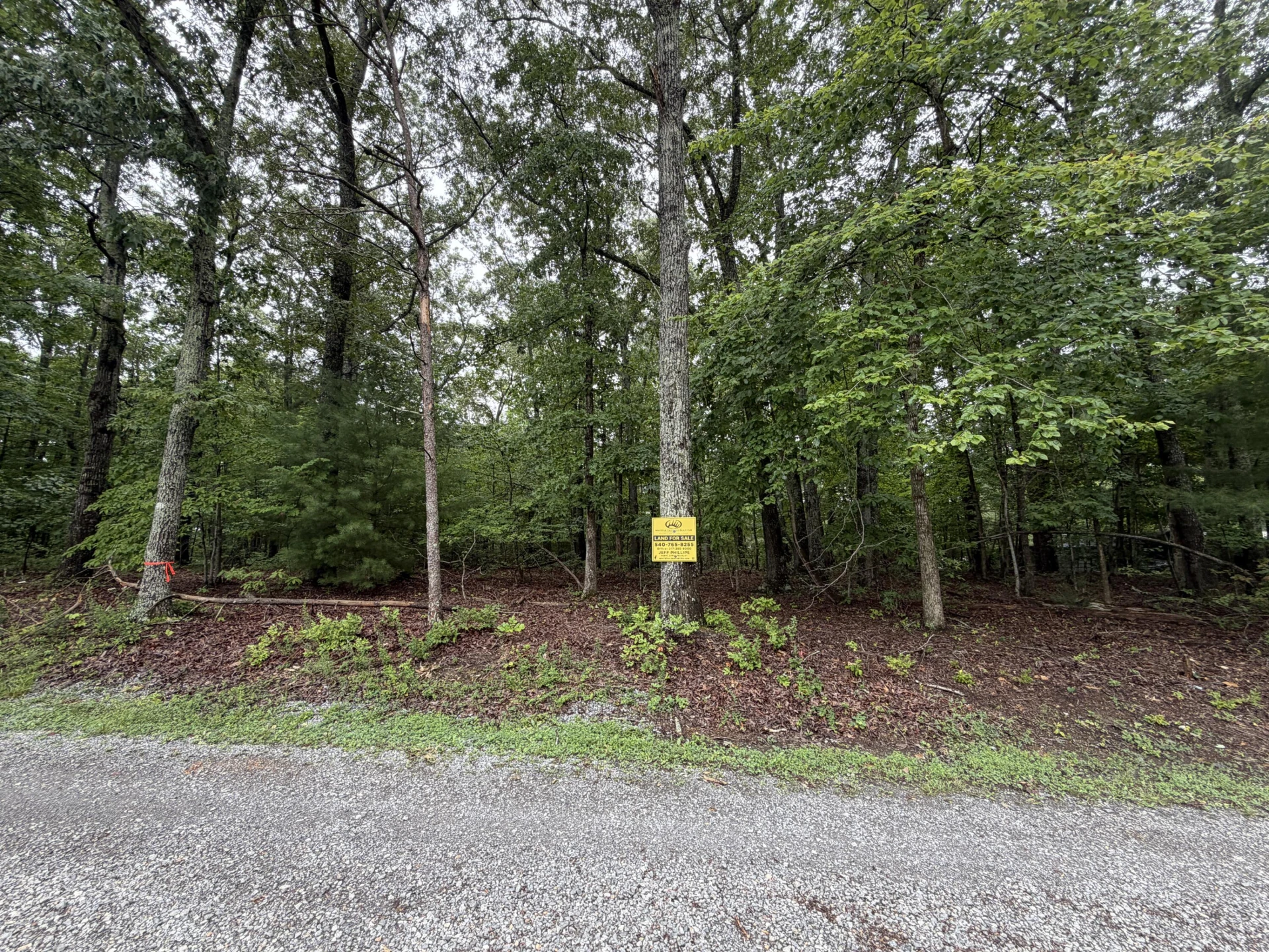 0 Serenity LN - Photo 6