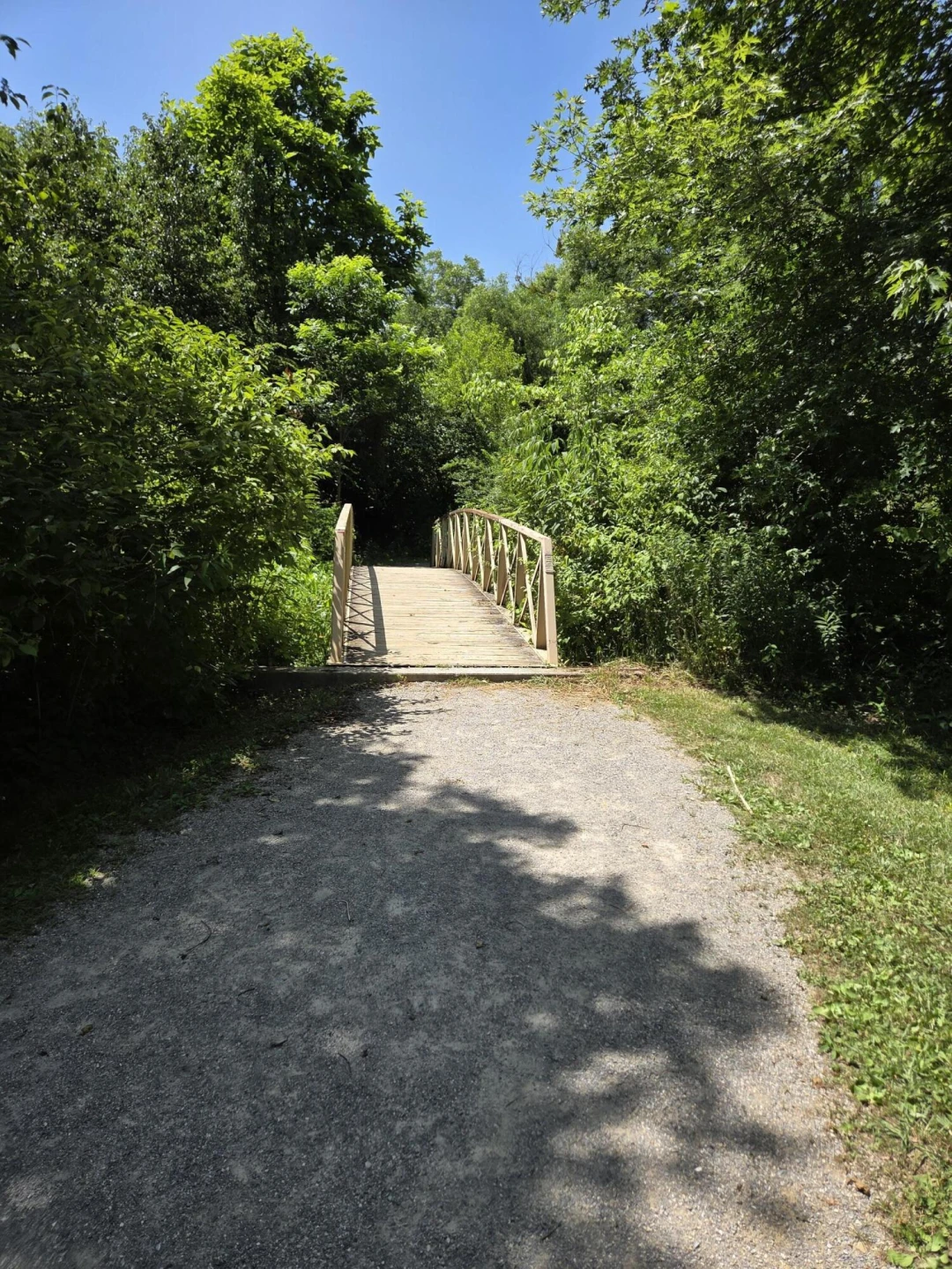 7633 Deer Branch RD - Photo 54