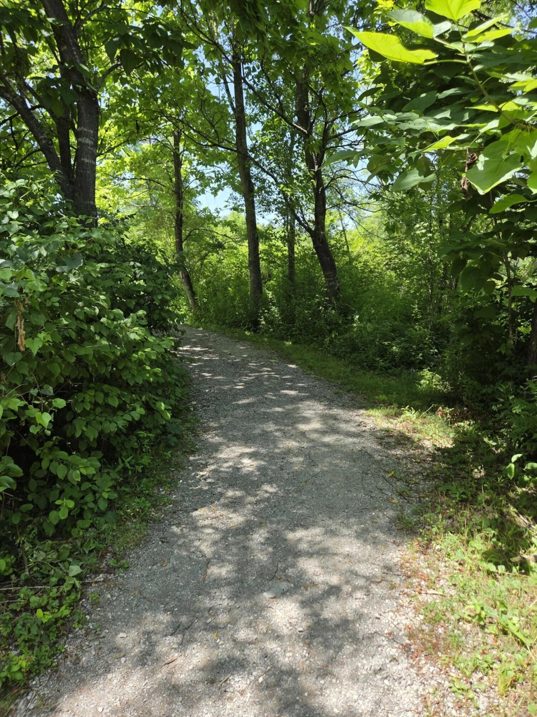 7633 Deer Branch RD - Photo 55