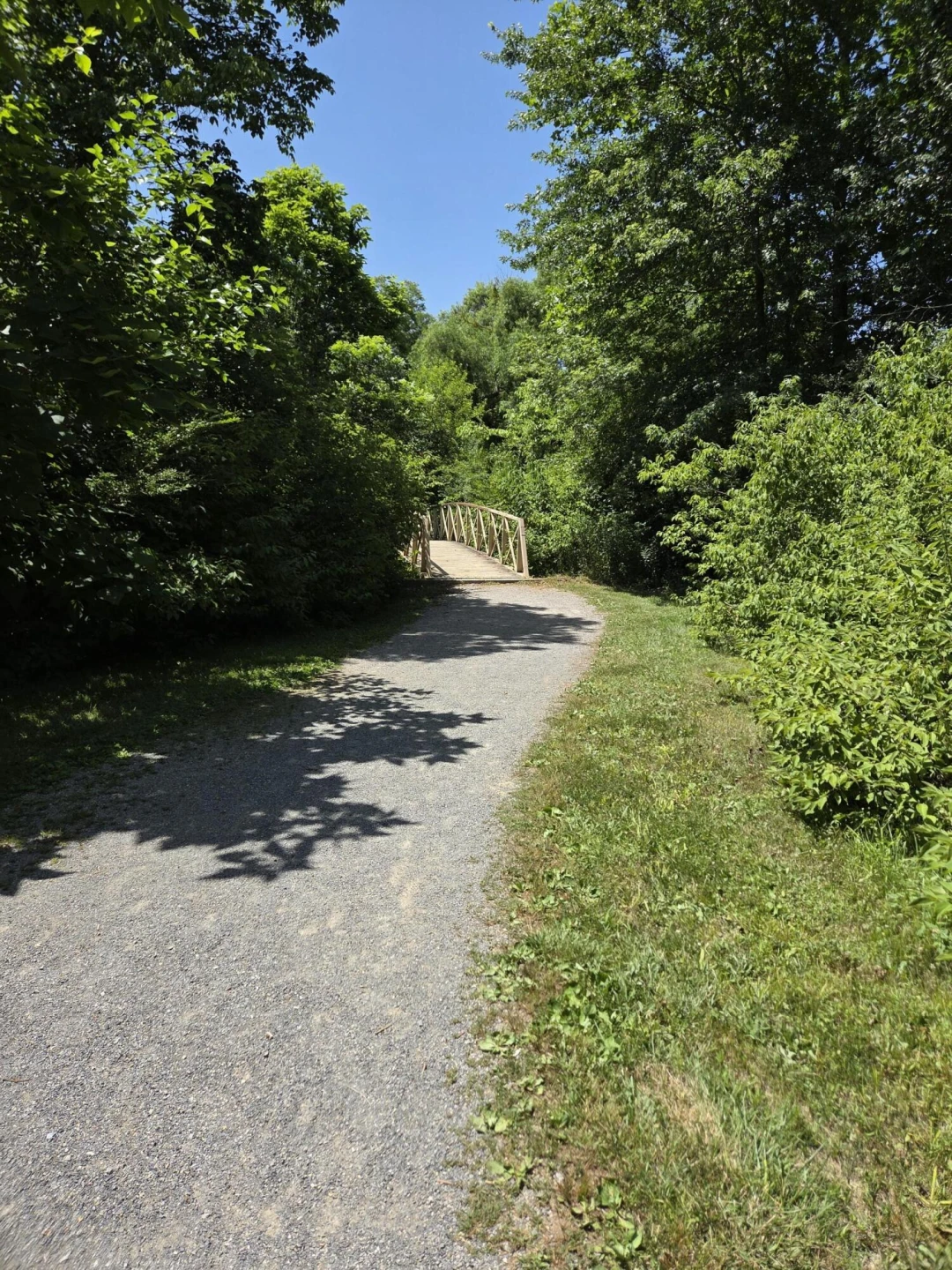 7633 Deer Branch RD - Photo 56