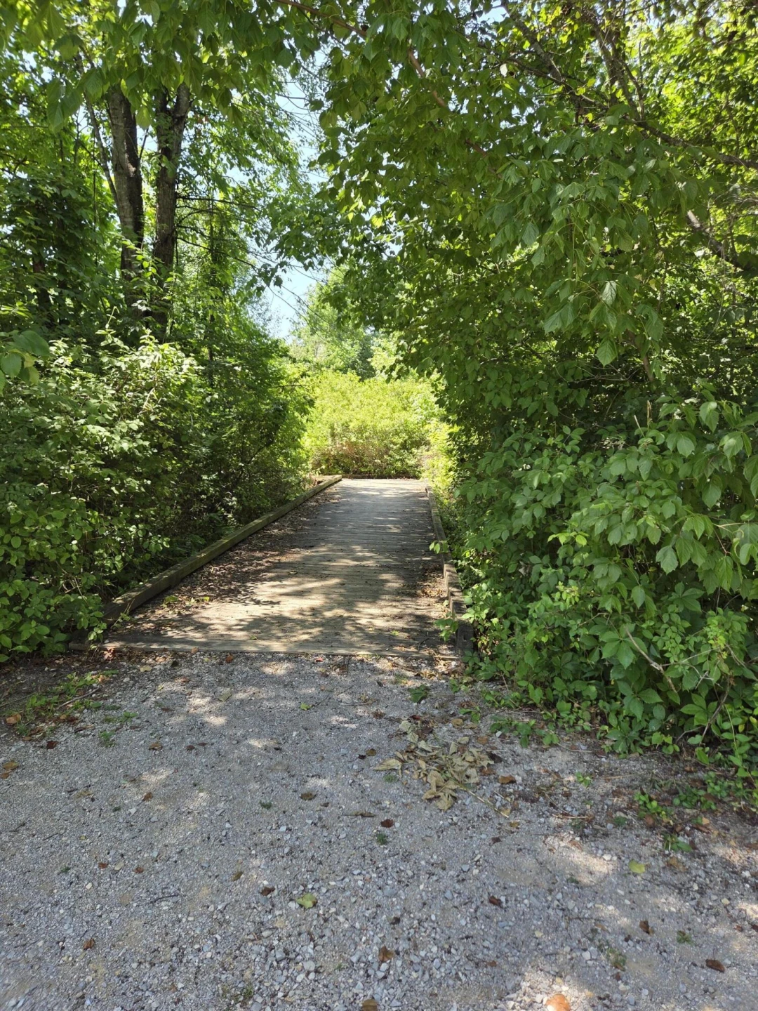 7633 Deer Branch RD - Photo 58