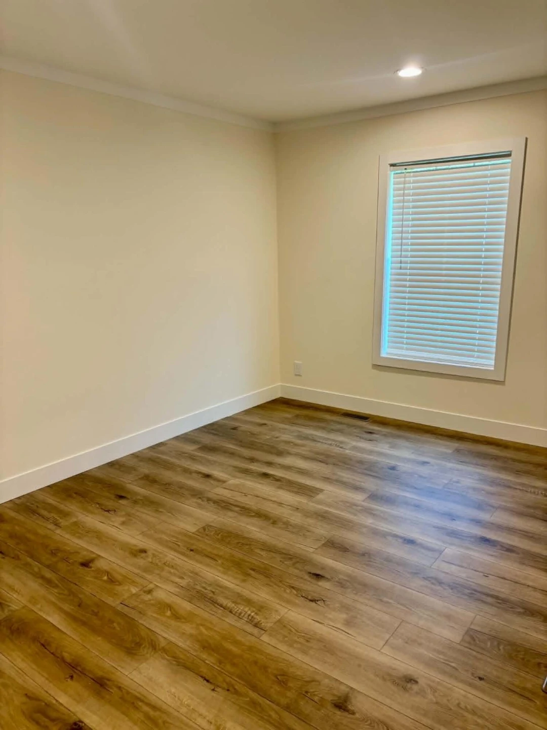 3702 Buck Mountain RD - Photo 17