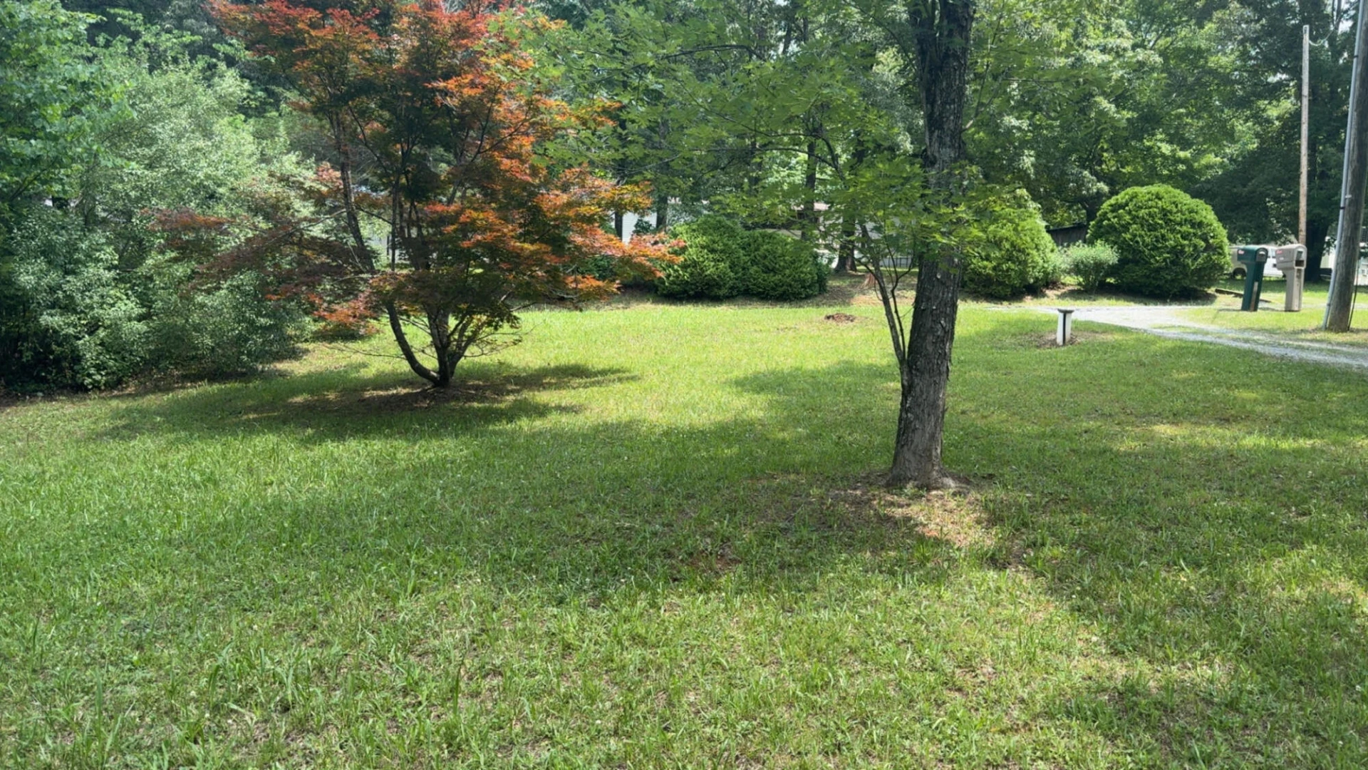 1140 Hayward DR - Photo 5