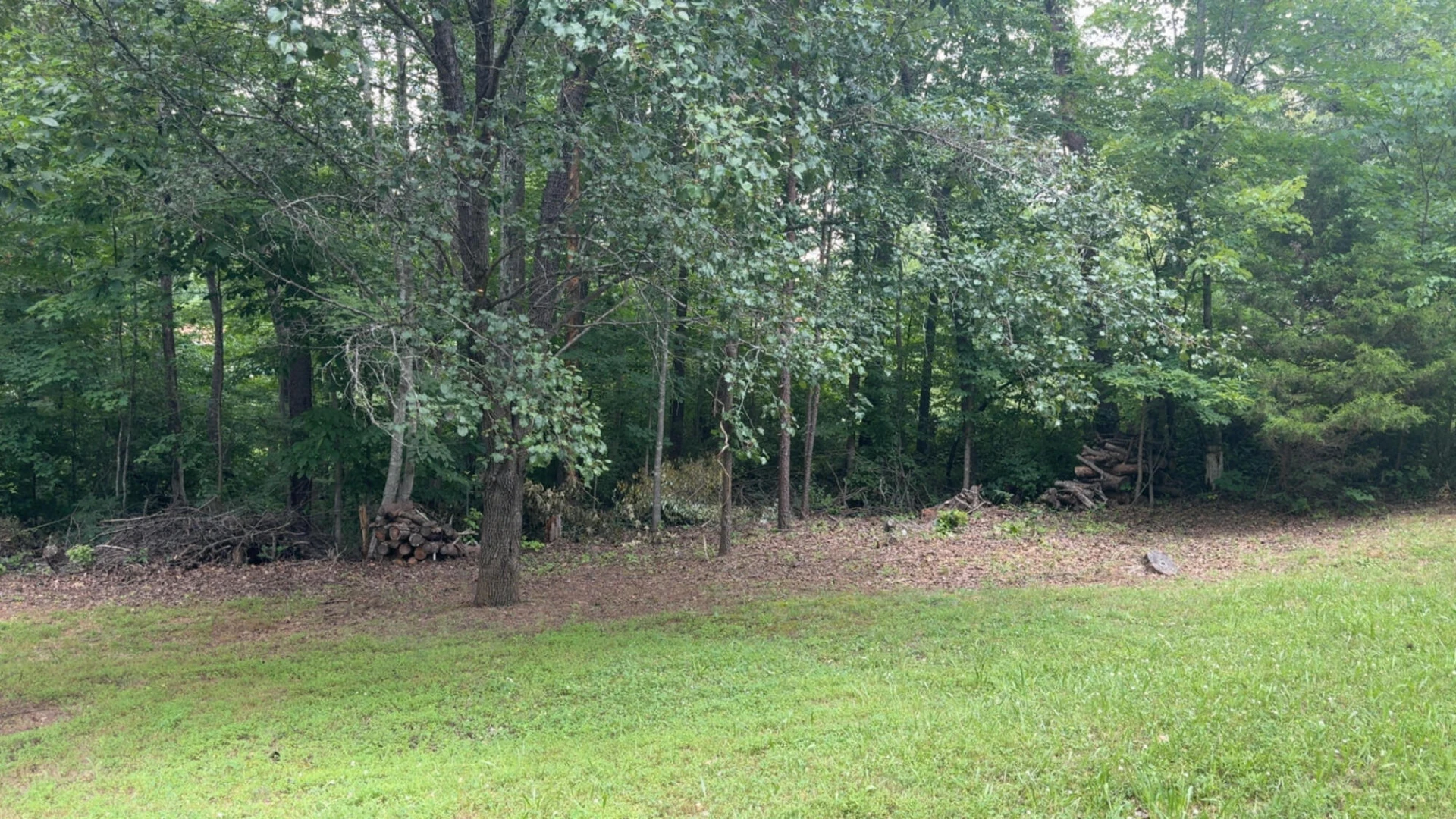 1140 Hayward DR - Photo 6