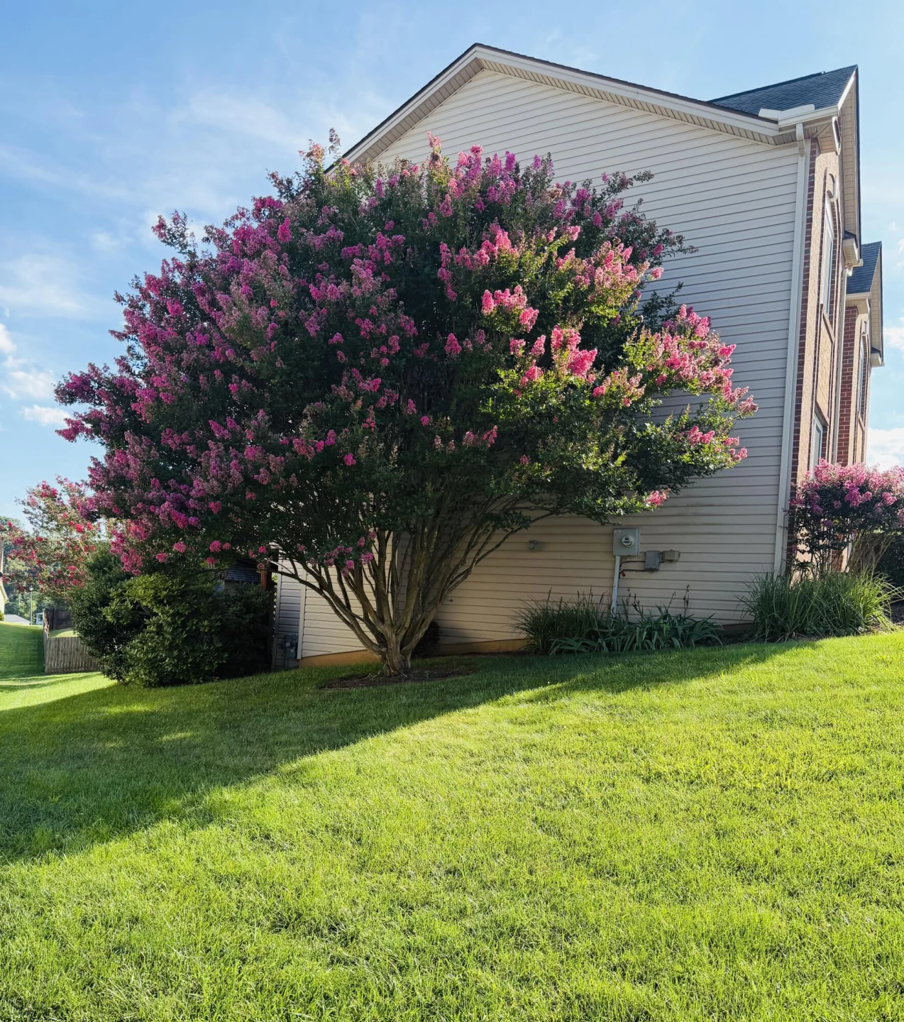 2830 Mystique CT - Photo 24