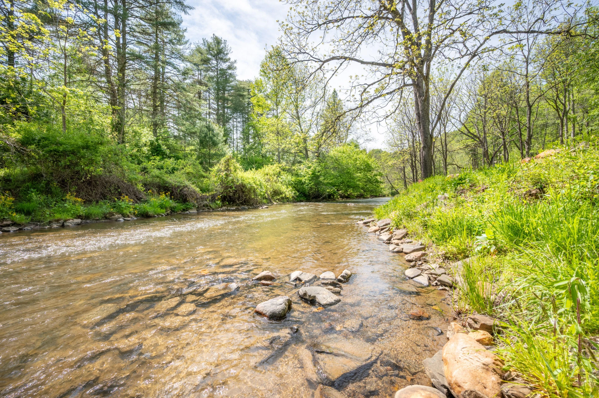549 Burkes Ford RD