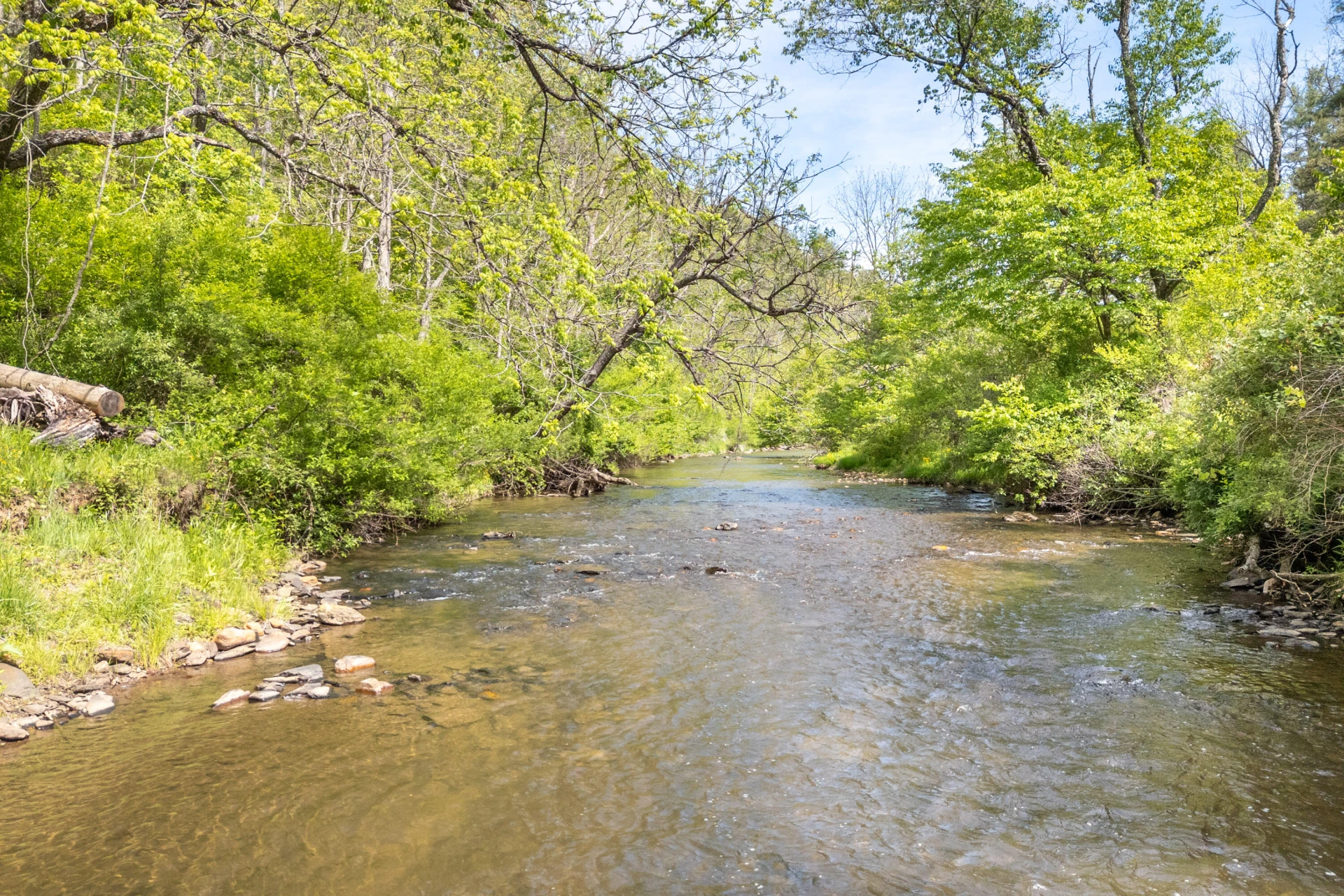 549 Burkes Ford RD - Photo 11