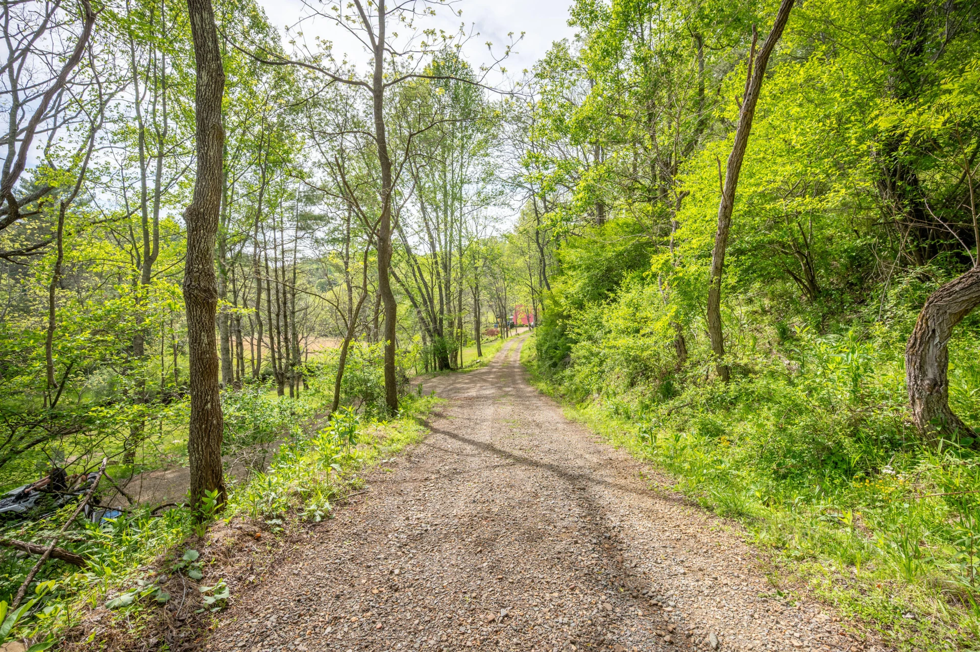 549 Burkes Ford RD - Photo 17
