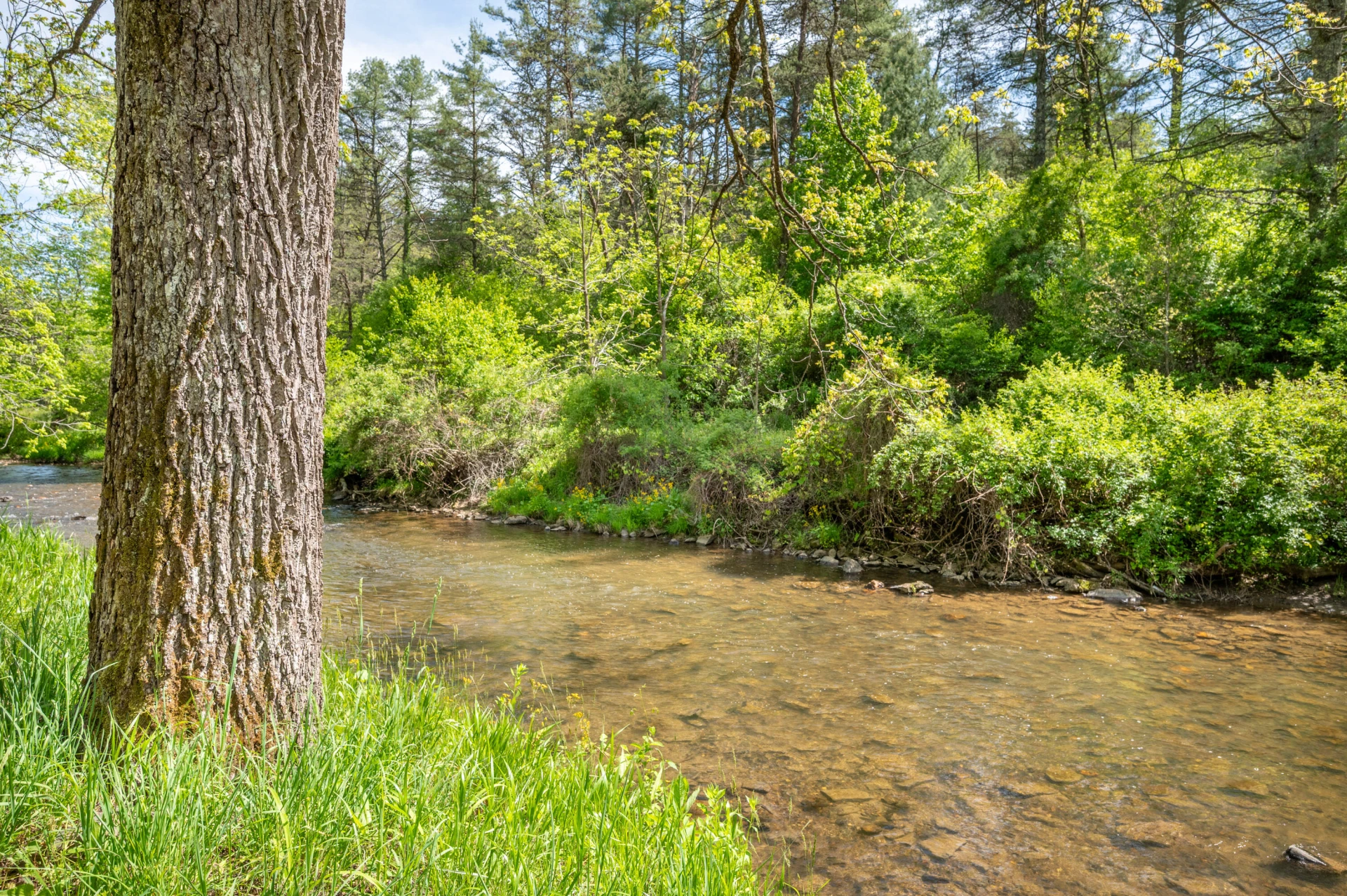 549 Burkes Ford RD - Photo 22