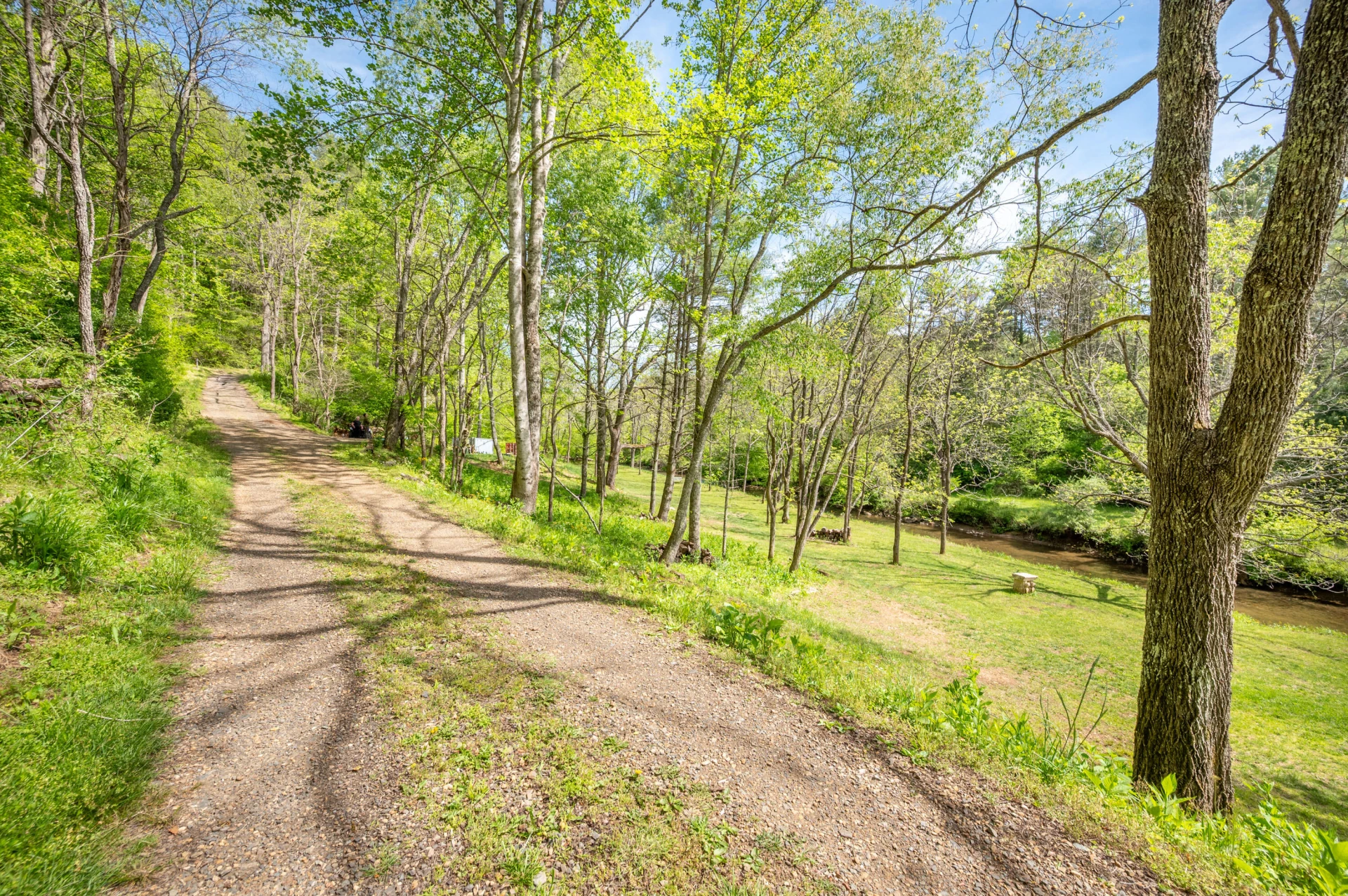 549 Burkes Ford RD - Photo 5