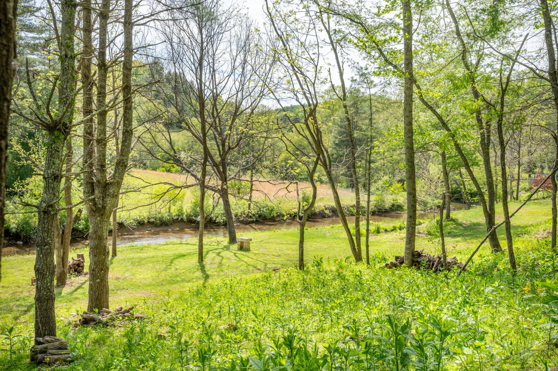 549 Burkes Ford RD - Photo 31