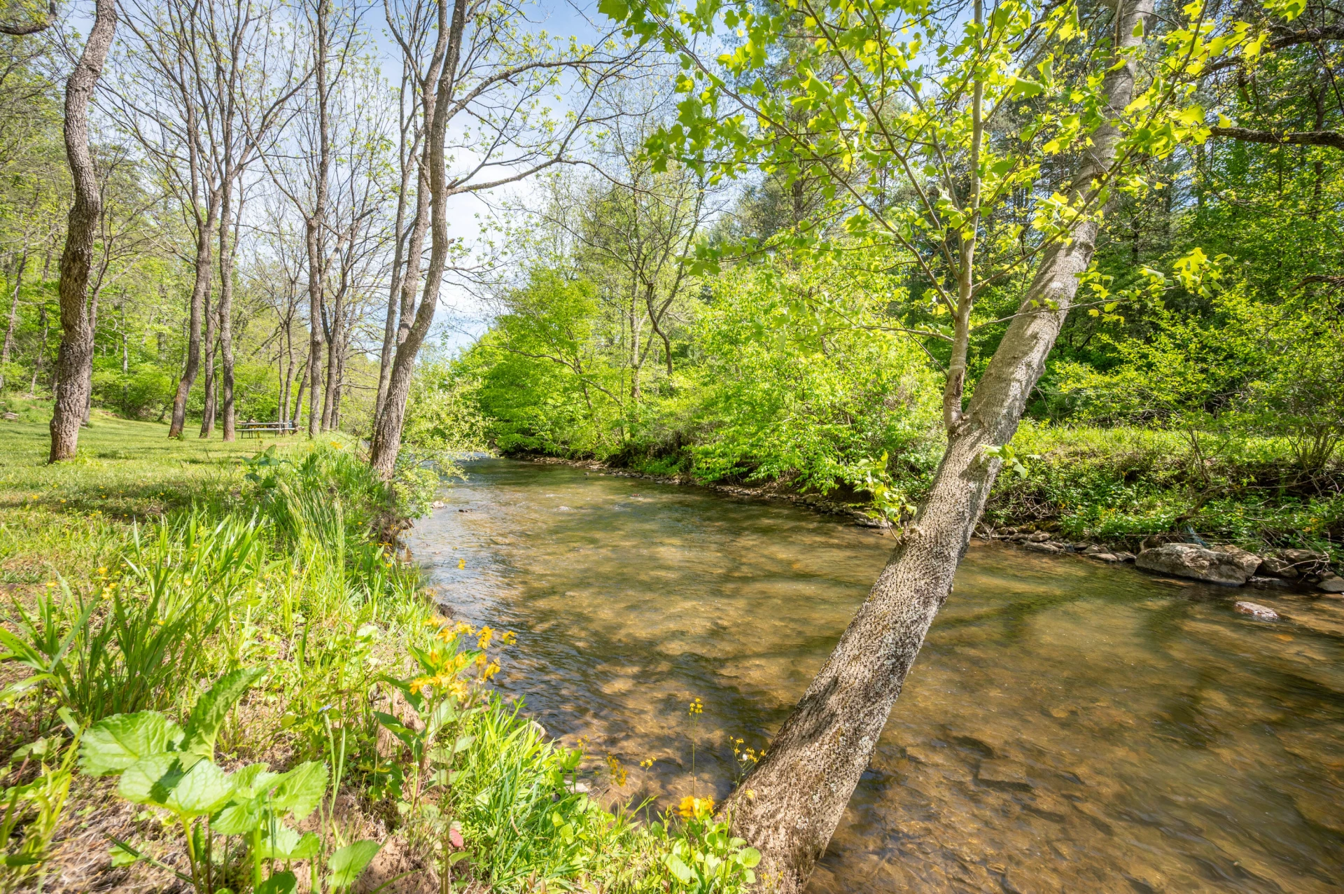 549 Burkes Ford RD - Photo 8