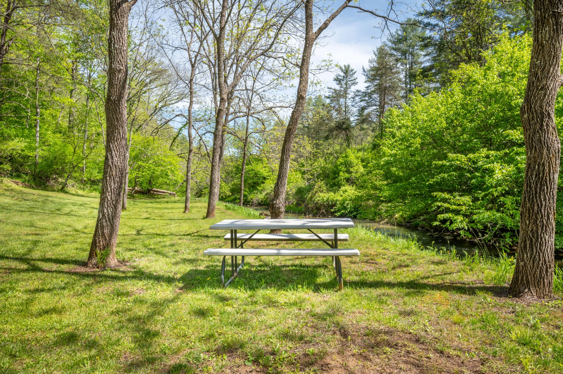 549 Burkes Ford RD - Photo 9