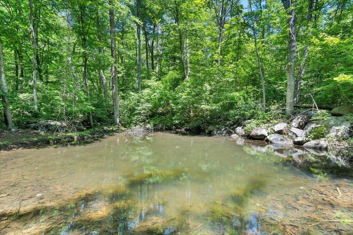 1272 Stoney WAY - Photo 75