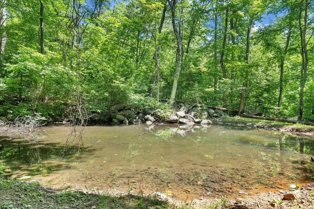 1272 Stoney WAY - Photo 76