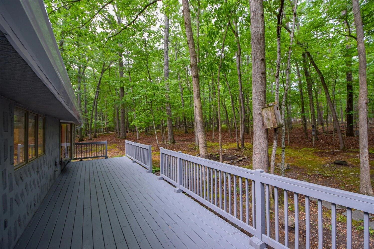 4094 Bluebird LN - Photo 44