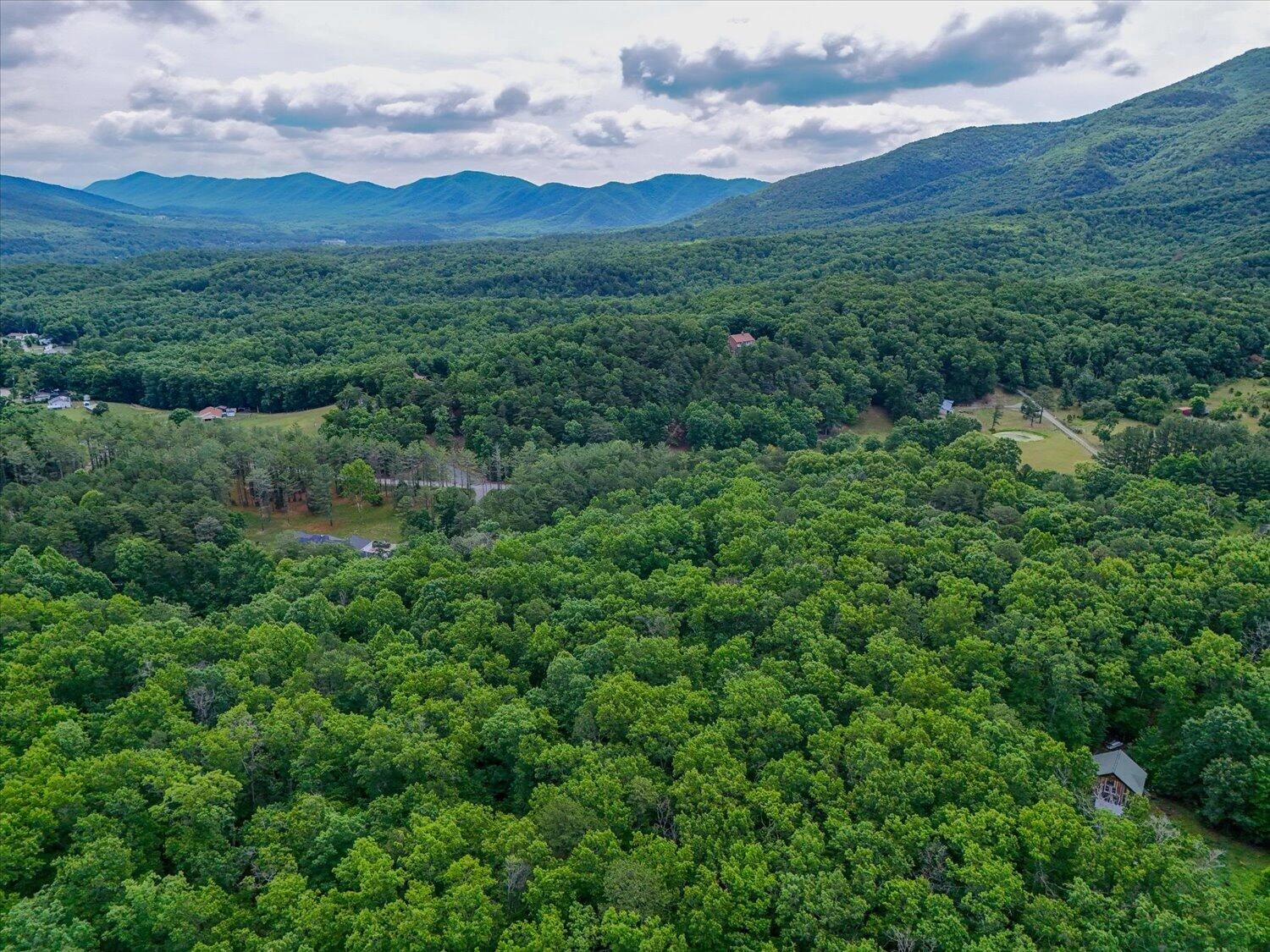 4094 Bluebird LN - Photo 51