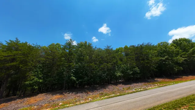 Lot 61 Garrison Ridge, Pittsville, VA, 24139