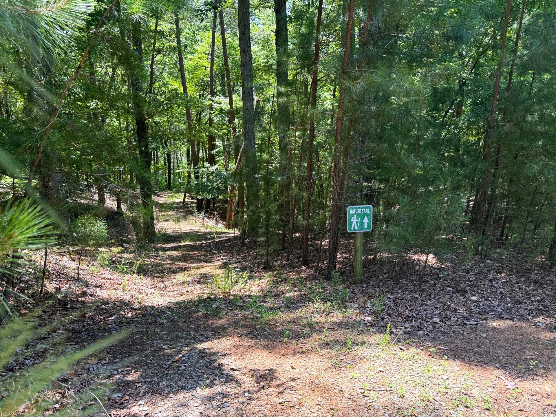 Lot 61 Garrison Ridge - Photo 10