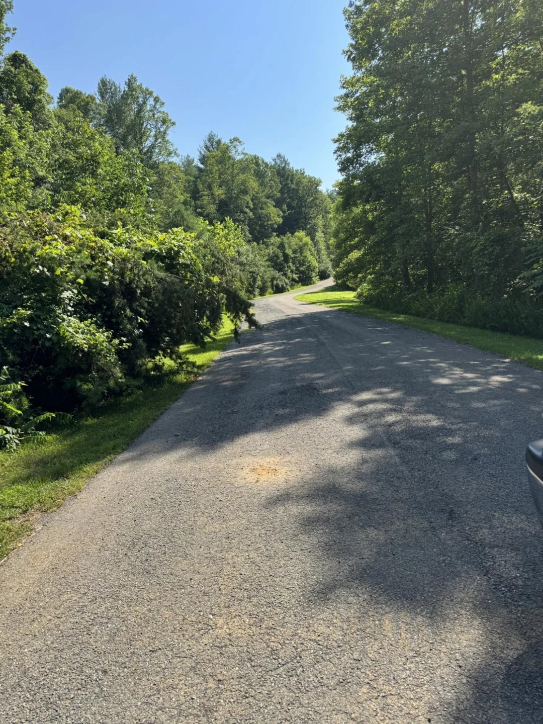 Tract 11 Mint LN - Photo 4