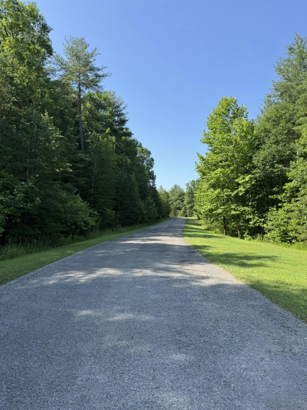 Tract 11 Mint LN - Photo 9