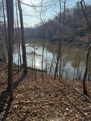 Lot 26 Poplar DR, Hardy, VA, 24101