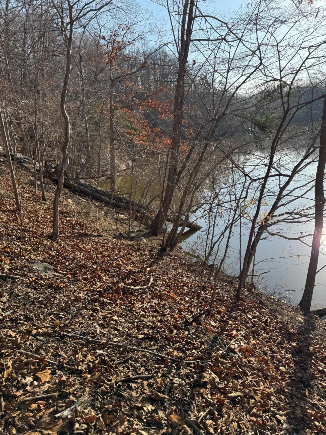 Lot 26 Poplar DR - Photo 10