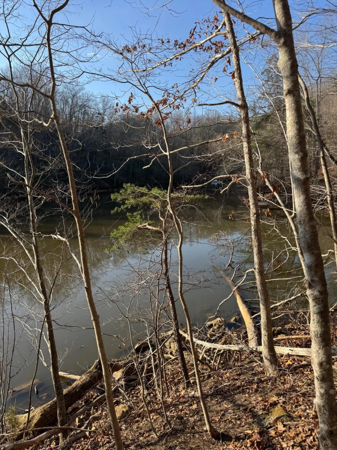 Lot 26 Poplar DR - Photo 11