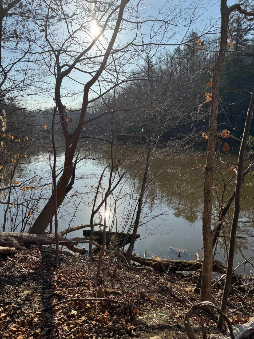 Lot 26 Poplar DR - Photo 12