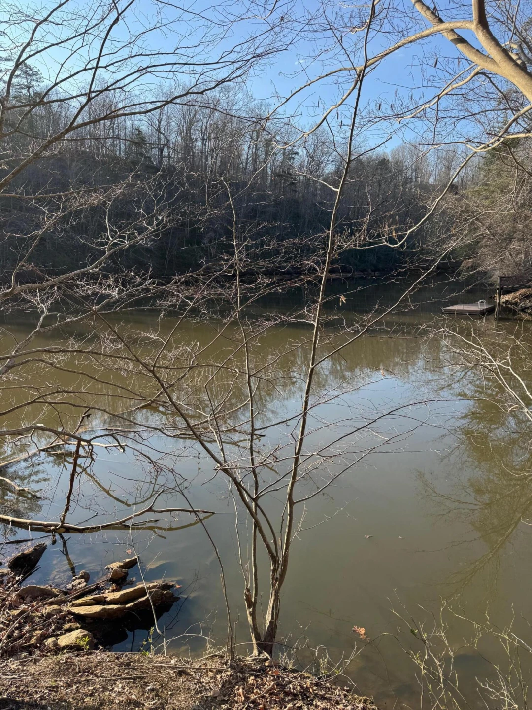 Lot 26 Poplar DR - Photo 13