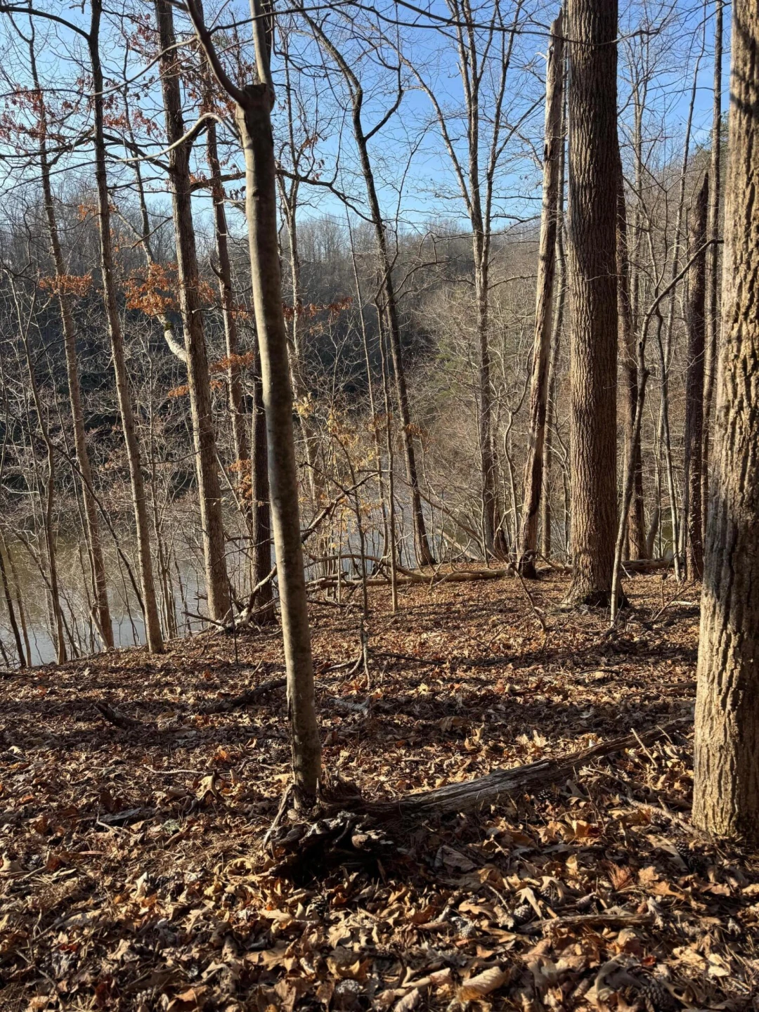 Lot 26 Poplar DR - Photo 2