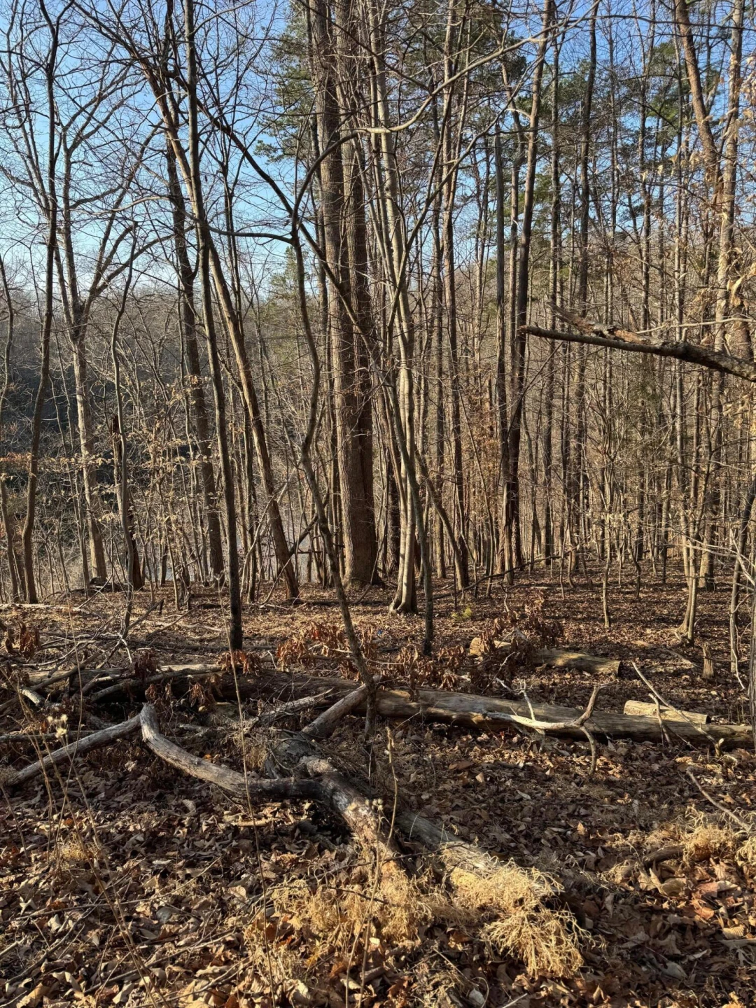 Lot 26 Poplar DR - Photo 3