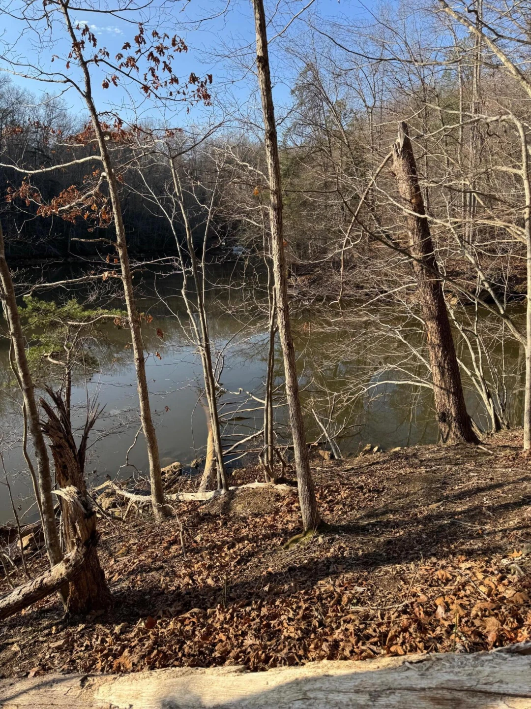 Lot 26 Poplar DR - Photo 8