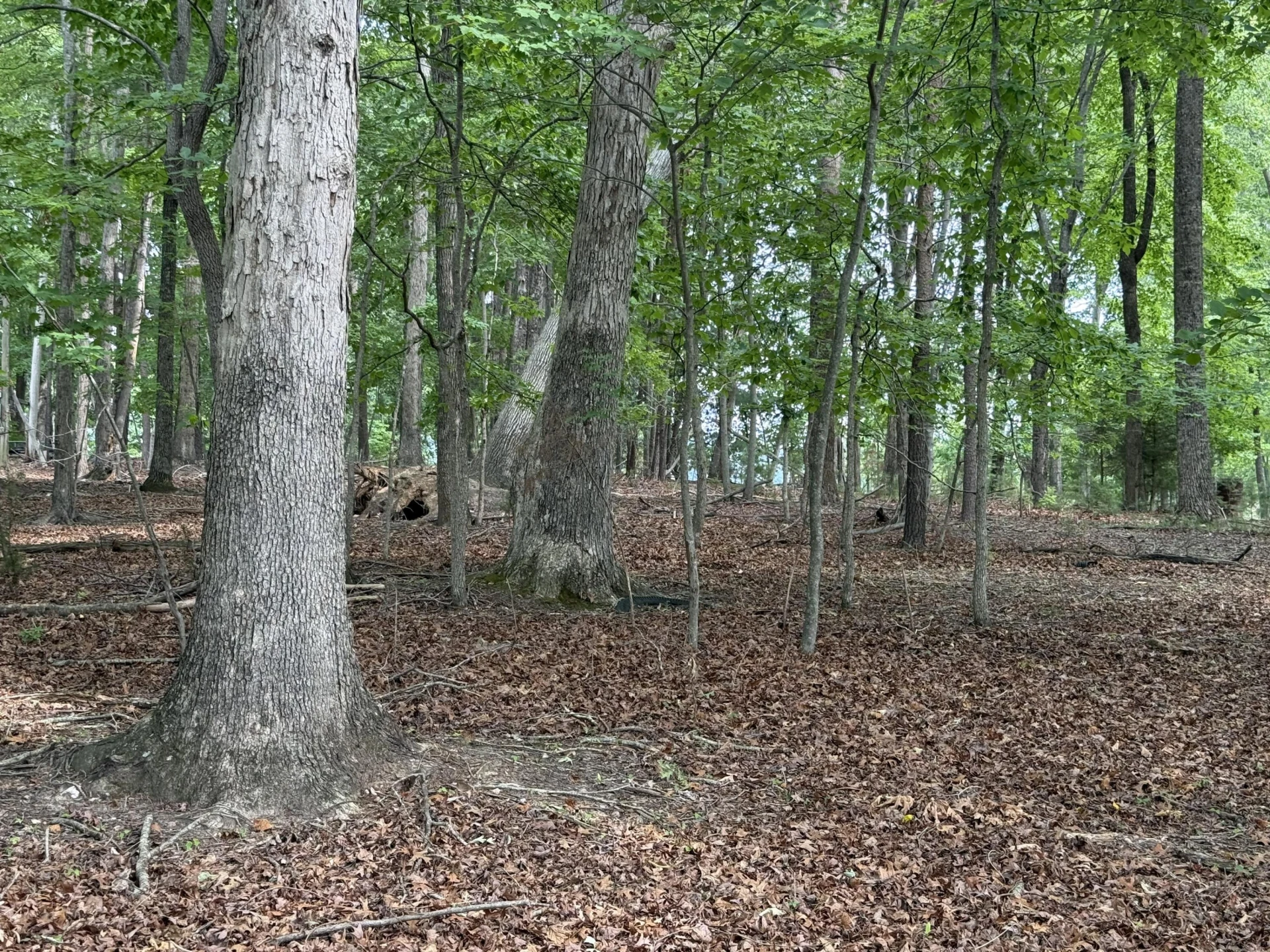365 Hardy RD - Photo 7
