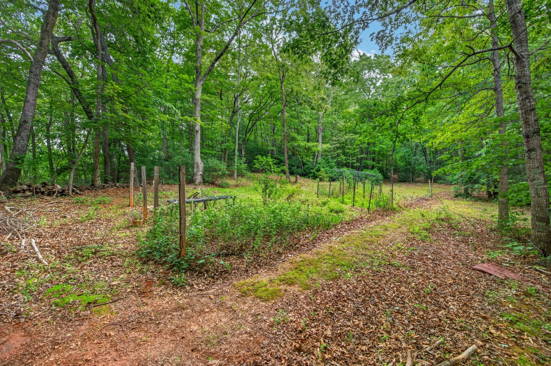 6470 Woolwine - Photo 61