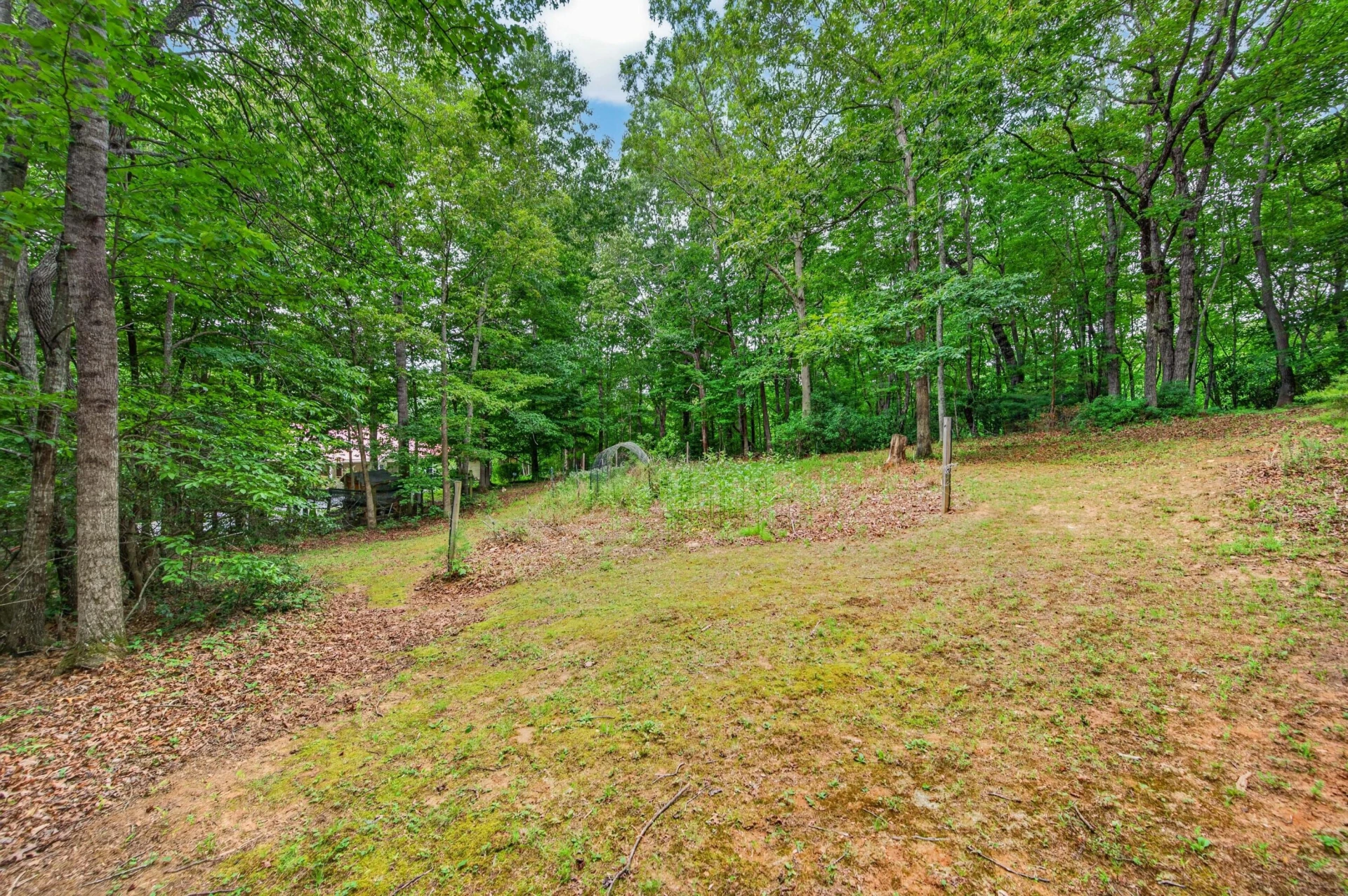 6470 Woolwine - Photo 62