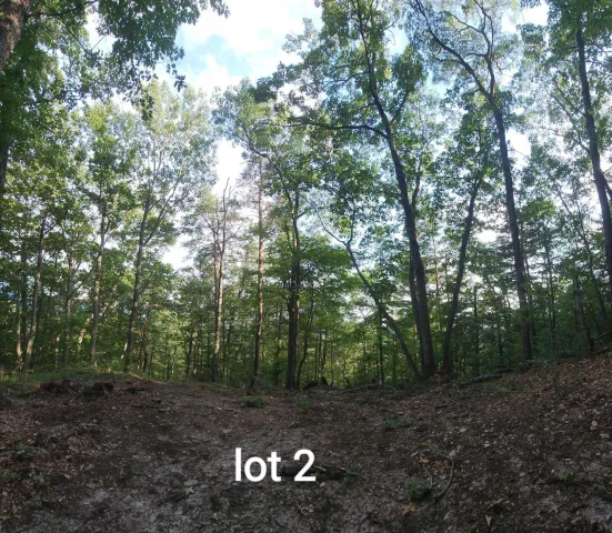 2761 Reese Mountain RD, Elliston, VA, 24087
