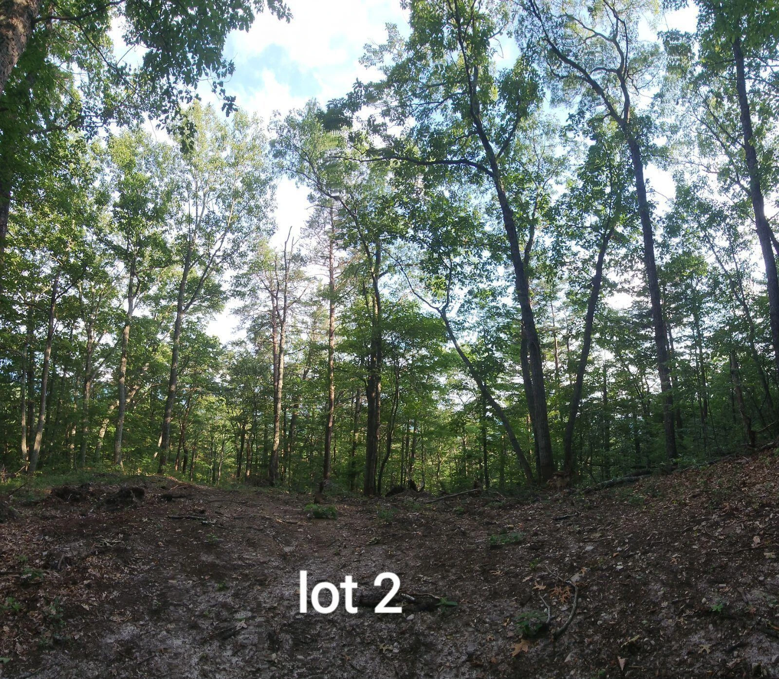 2761 Reese Mountain RD