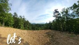 2811 Reese Mountain RD